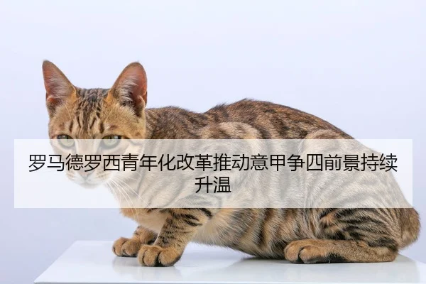 罗马德罗西青年化改革推动意甲争四前景持续升温