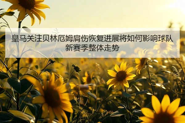 皇马关注贝林厄姆肩伤恢复进展将如何影响球队新赛季整体走势