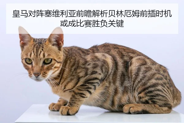 皇马对阵塞维利亚前瞻解析贝林厄姆前插时机或成比赛胜负关键